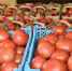 Фермерам Кубани помогут реализовать сельхозпродукцию - Каневской район