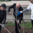 Высадка деревьев в станице Привольной - Каневская телестудия