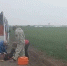 Скрывавшийся от закона мужчина попал в ДТП в Каневском районе - Газета Каневские зори